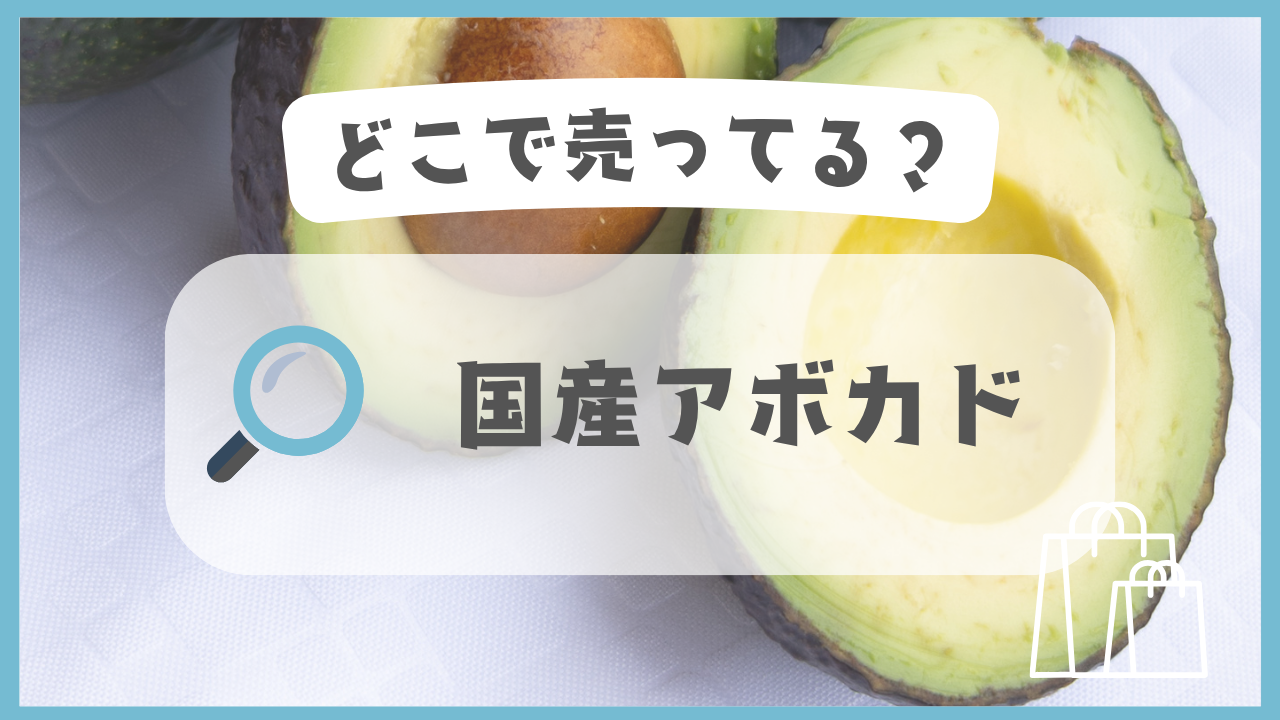 国産アボカド　どこで売ってる