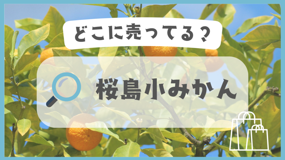 桜島小みかん　どこに売ってる