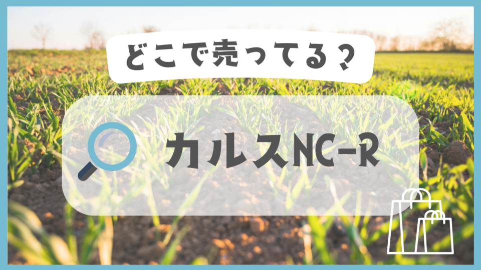 カルスNC-R　どこで売ってる