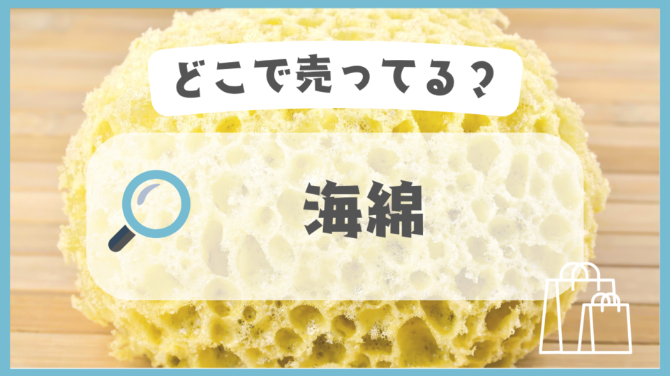海綿　どこで売ってる