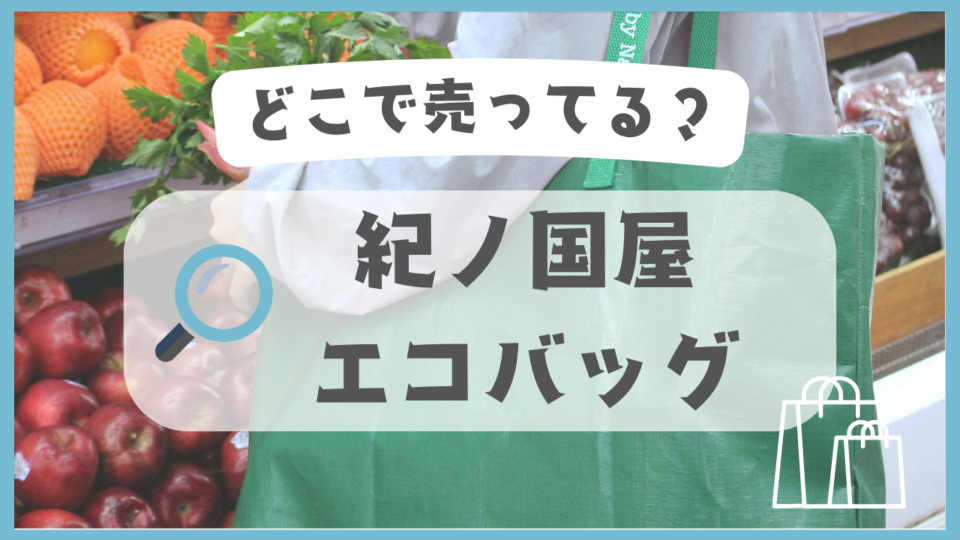 紀ノ国屋のエコバッグ　どこで売ってる