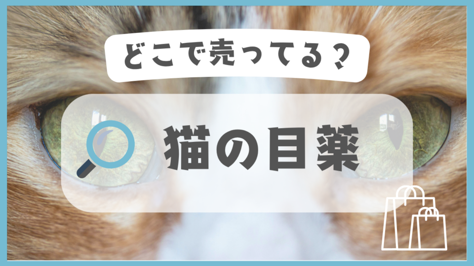 猫の目薬　どこで売ってる