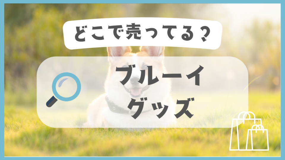 ブルーイグッズ　どこで売ってる