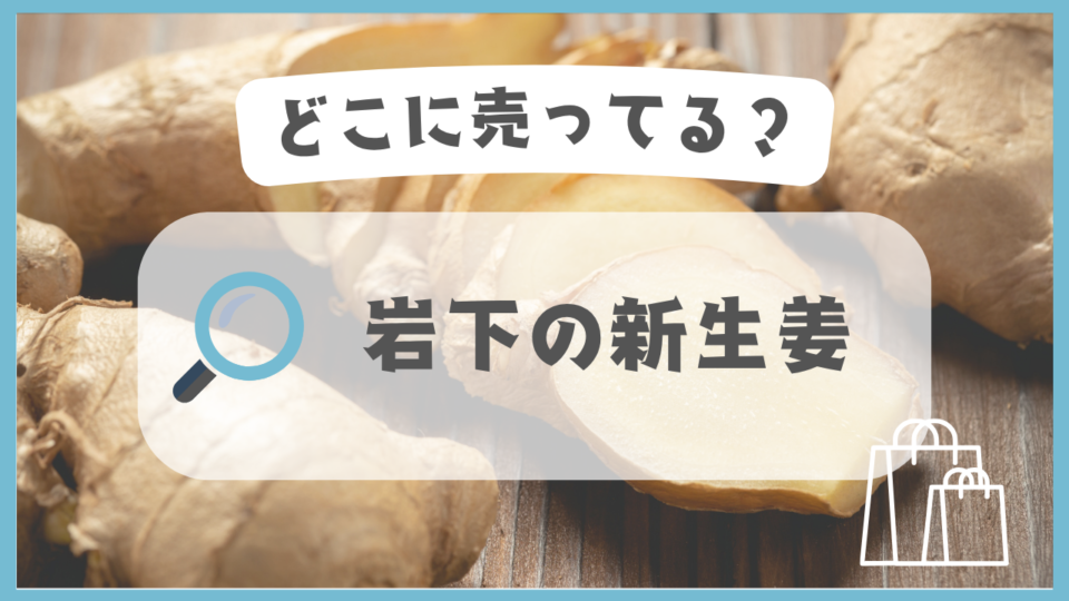 岩下の新生姜　どこに売ってる