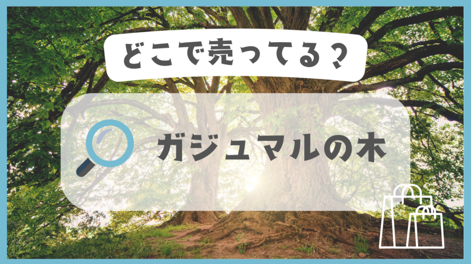 ガジュマルの木　どこで売ってる