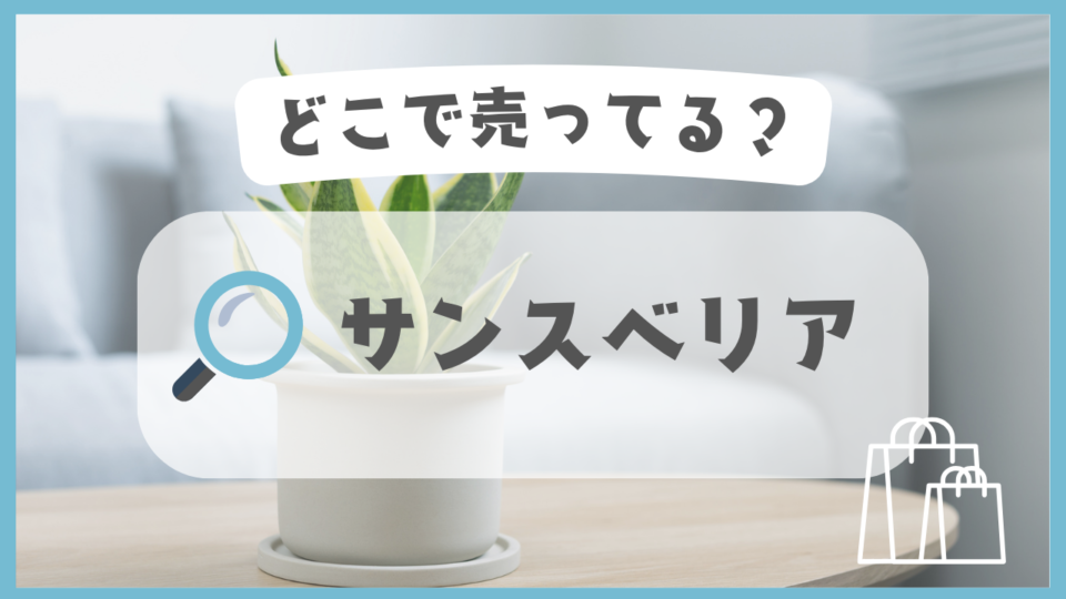 サンスベリア　どこで売ってる